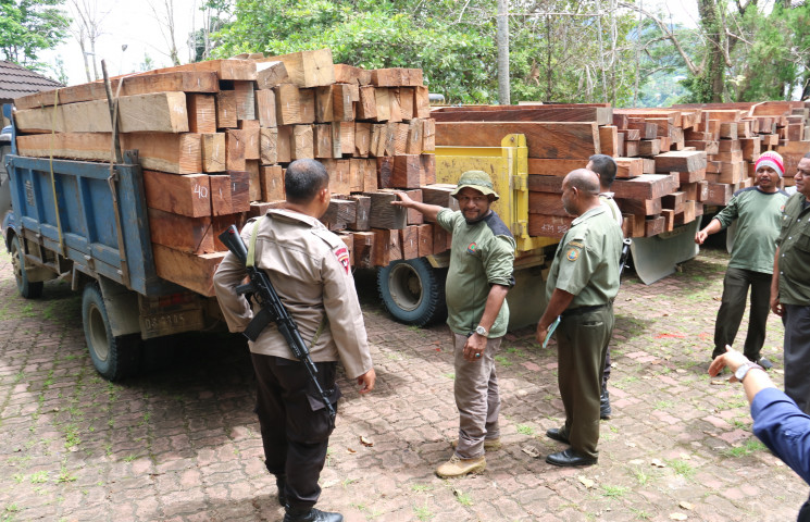 Tim Gabungan Dishut Amankan Empat Truk Angkut Kayu Ilegal